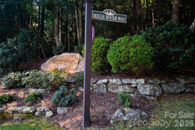 838 Mills River Way, Horse Shoe, NC 28742