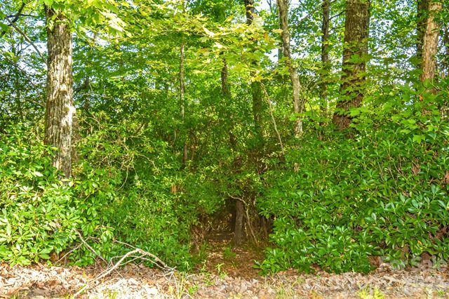 838 Mills River Way, Horse Shoe, NC 28742