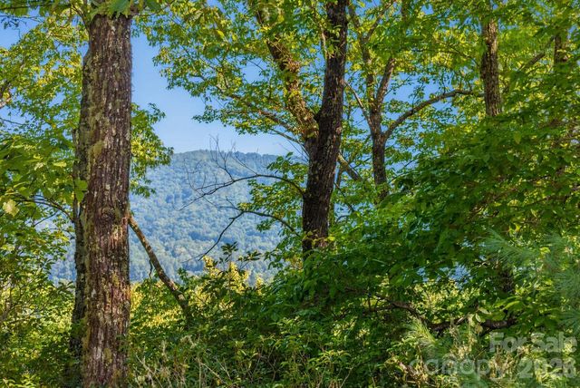 838 Mills River Way, Horse Shoe, NC 28742