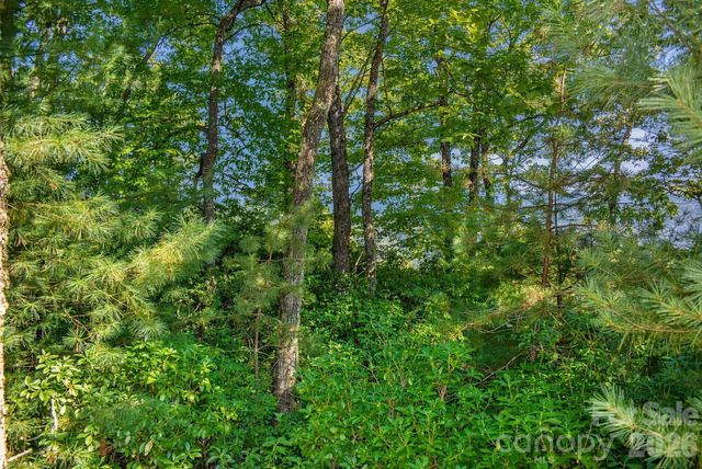 838 Mills River Way, Horse Shoe, NC 28742