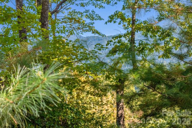 838 Mills River Way, Horse Shoe, NC 28742