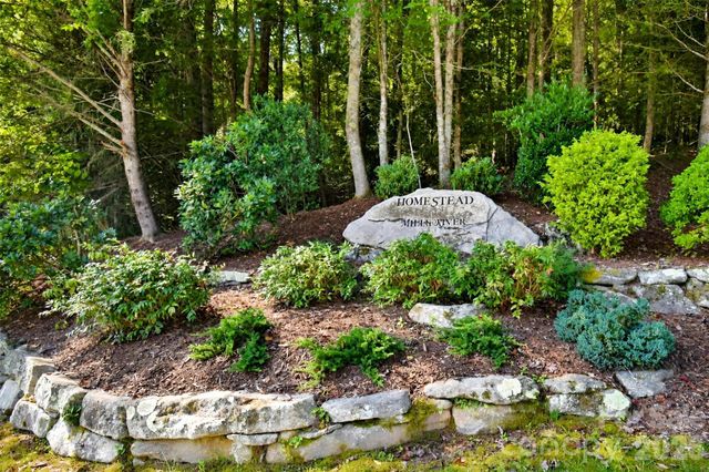 838 Mills River Way, Horse Shoe, NC 28742