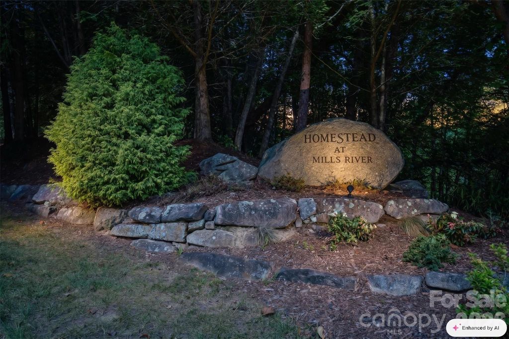 838 Mills River Way, Horse Shoe, NC 28742