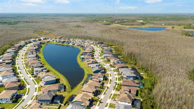 6159 MARSH TRAIL, Odessa, FL 33556