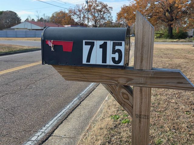 715 PINHOOK DR, Savannah, TN 38372