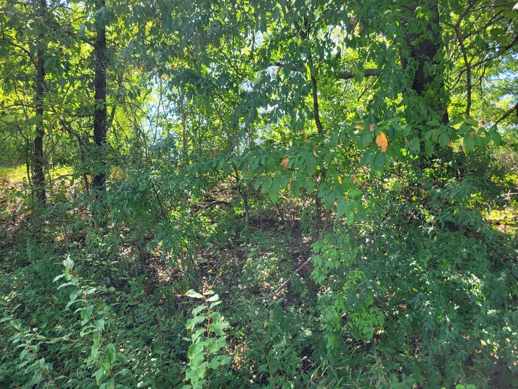 Image 3 of property listing at 000 E Bunny Farm Road, Mt Vernon, IL 62864