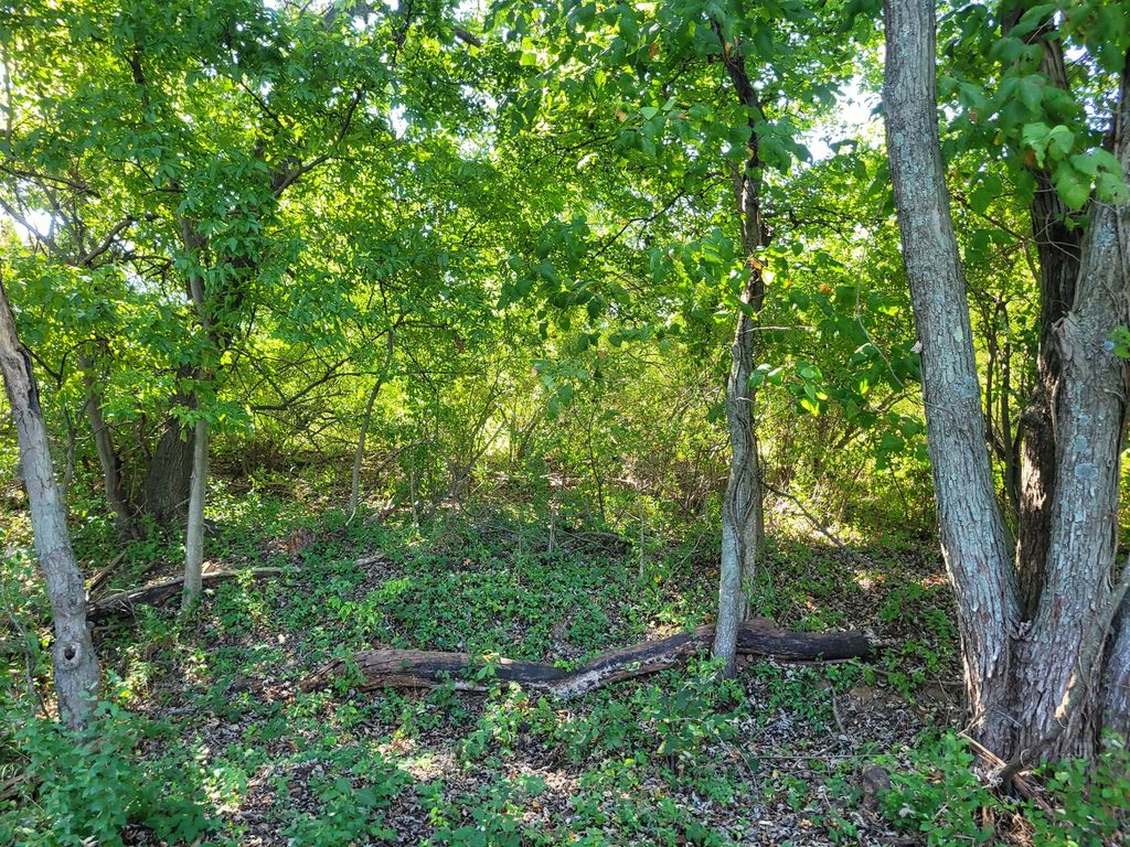 Image 4 of property listing at 000 E Bunny Farm Road, Mt Vernon, IL 62864