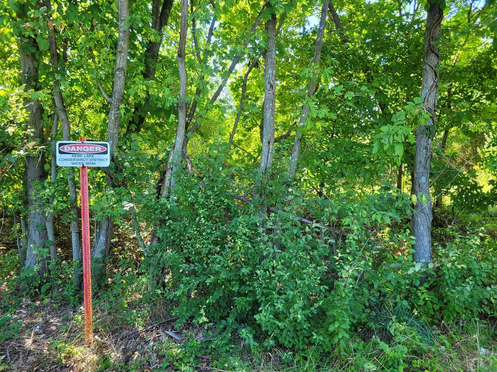 Image 5 of property listing at 000 E Bunny Farm Road, Mt Vernon, IL 62864