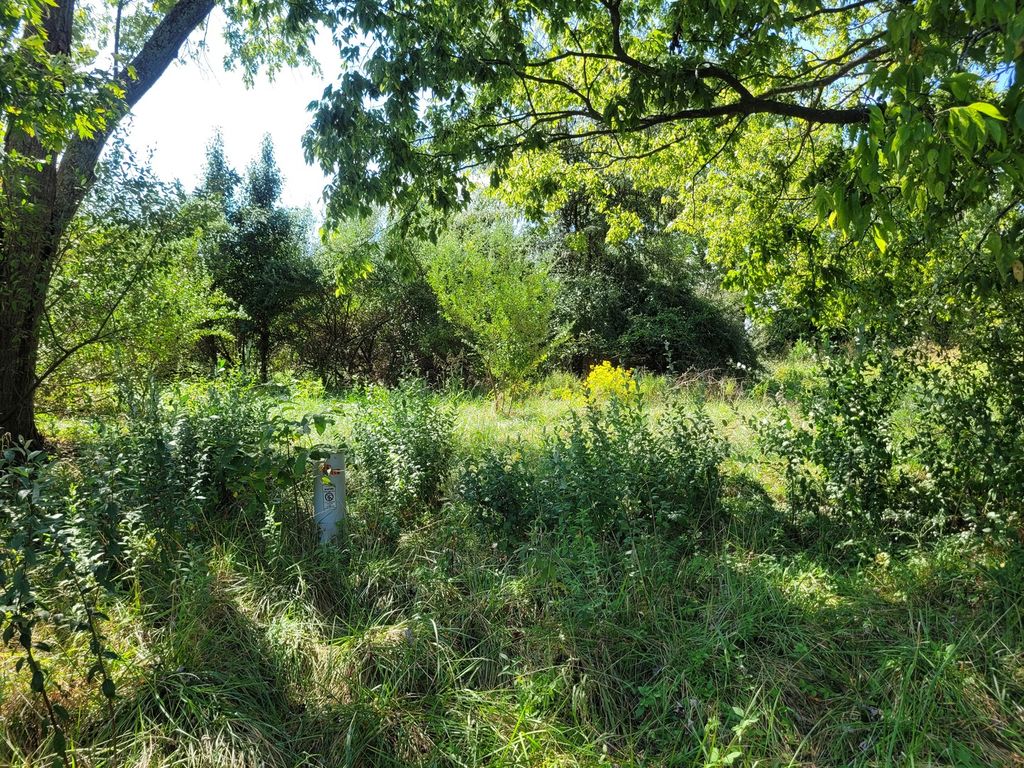 Image 6 of property listing at 000 E Bunny Farm Road, Mt Vernon, IL 62864