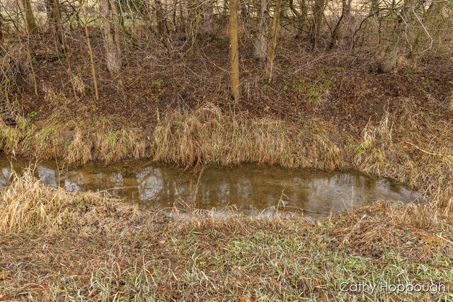 1193 N State Road, Ionia, MI 48846