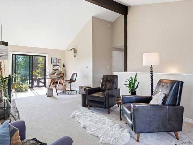 10594 Crystal Dr, Morrison, CO 80465