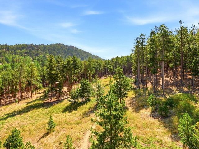 10594 Crystal Dr, Morrison, CO 80465