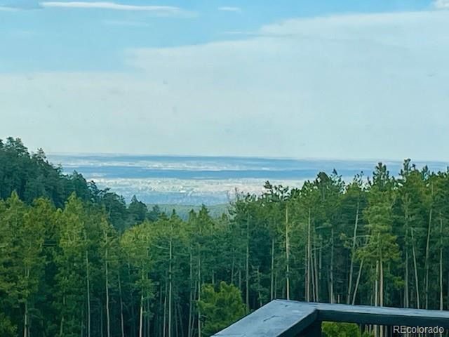 10594 Crystal Dr, Morrison, CO 80465