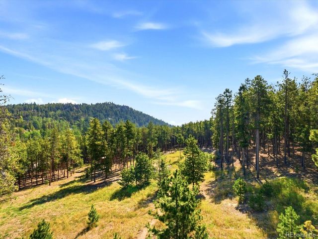 10594 Crystal Dr, Morrison, CO 80465