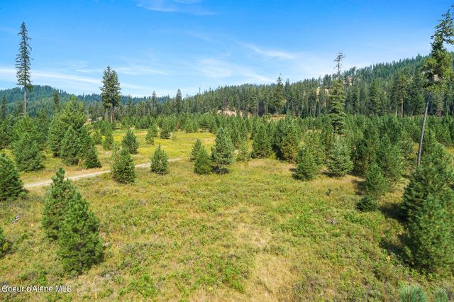 NKA Newell Rd, Coeur D'alene, ID 83814
