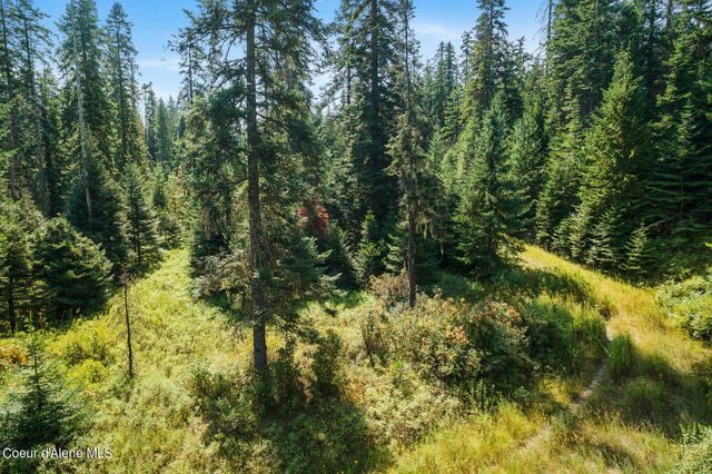 NKA Newell Rd, Coeur D'alene, ID 83814