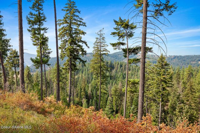 NKA Newell Rd, Coeur D'alene, ID 83814