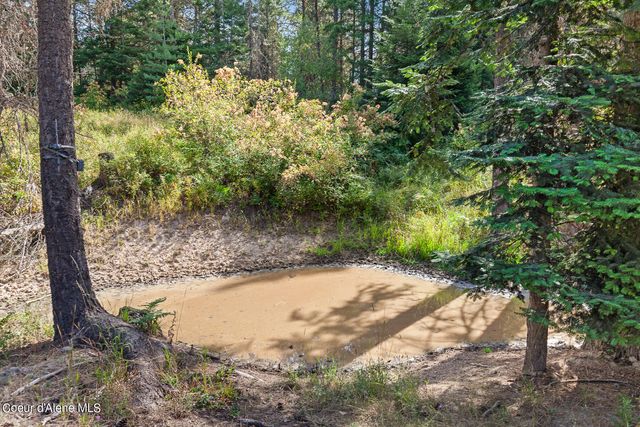 NKA Newell Rd, Coeur D'alene, ID 83814