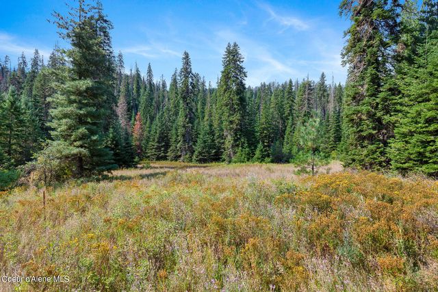 NKA Newell Rd, Coeur D'alene, ID 83814