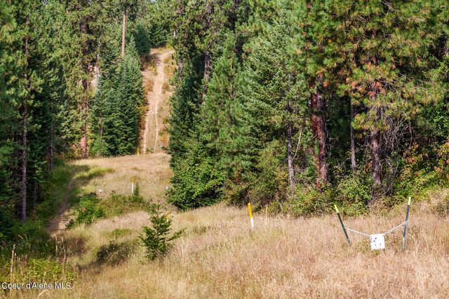 NKA Newell Rd, Coeur D'alene, ID 83814
