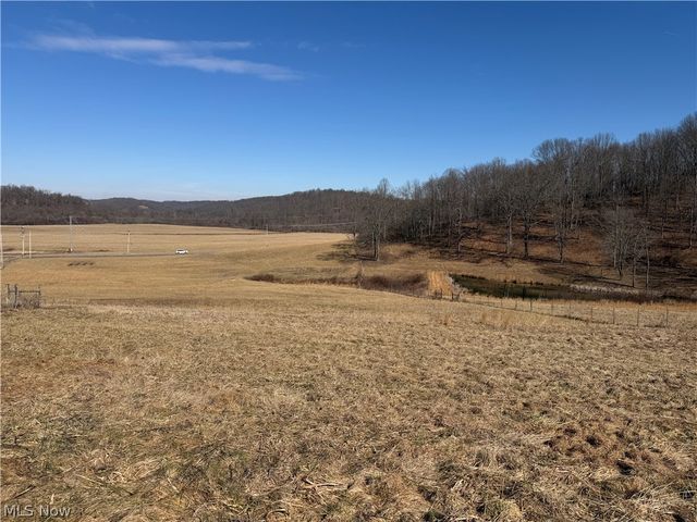 31785 PIEDMONT-FREEPORT Road, Freeport, OH 43973