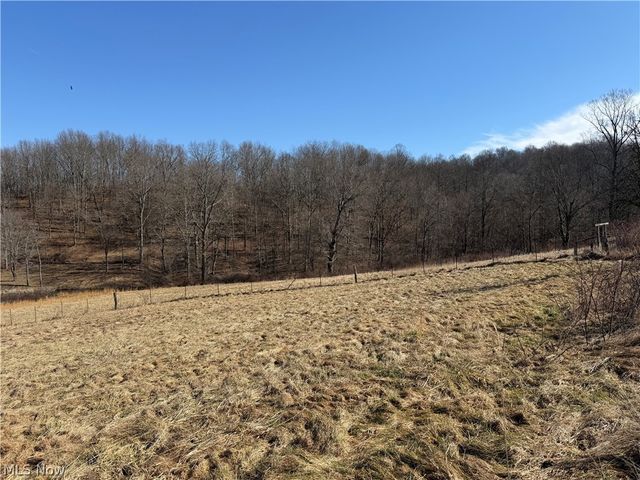 31785 PIEDMONT-FREEPORT Road, Freeport, OH 43973