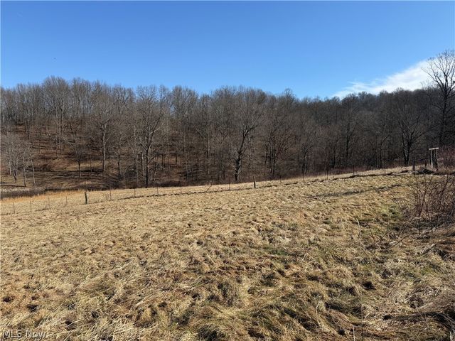 31785 PIEDMONT-FREEPORT Road, Freeport, OH 43973