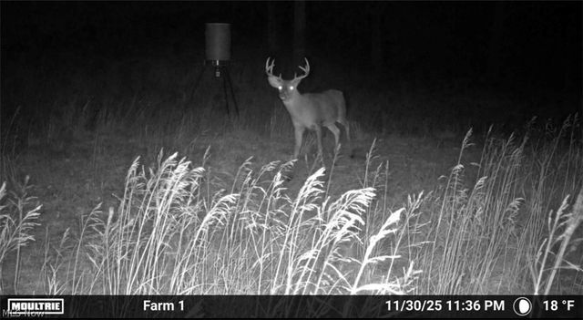 31785 PIEDMONT-FREEPORT Road, Freeport, OH 43973