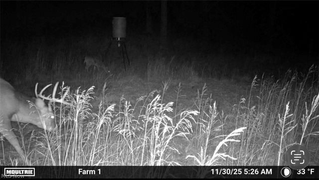 31785 PIEDMONT-FREEPORT Road, Freeport, OH 43973