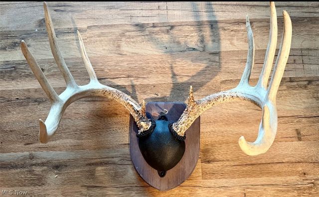 31785 PIEDMONT-FREEPORT Road, Freeport, OH 43973