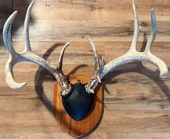 31785 PIEDMONT-FREEPORT Road, Freeport, OH 43973