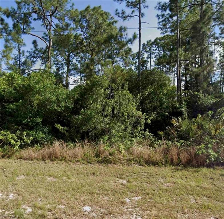 866 Porter ST E, LEHIGH ACRES, FL 33974 — exterior