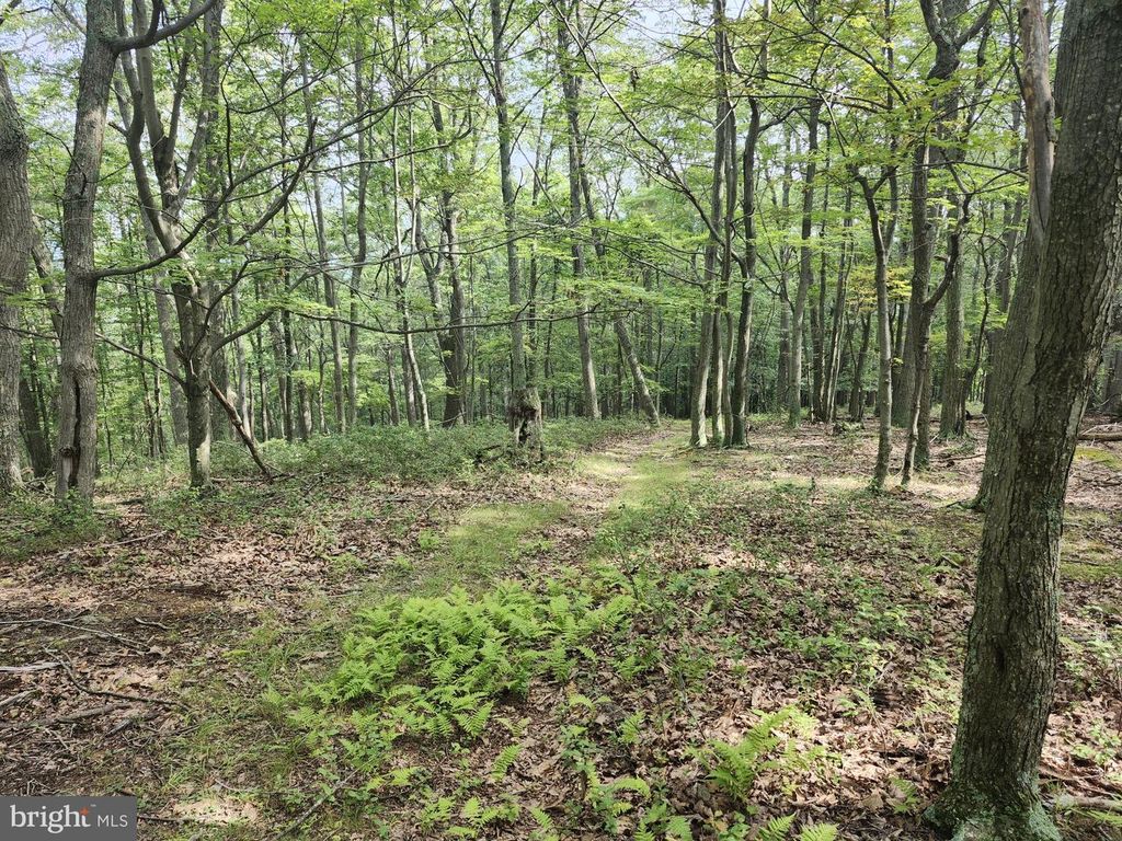 6836 STATE ROAD 55, Moorefield, WV 26836