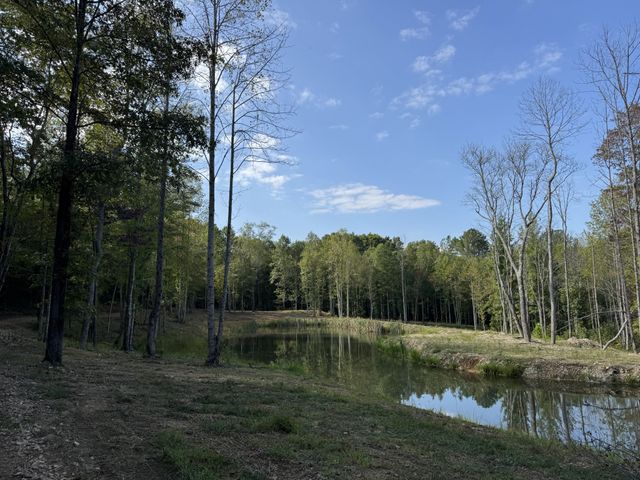 4715 S Forty Eight Creek, Waynesboro, TN 38485