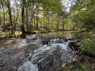 4715 S Forty Eight Creek, Waynesboro, TN 38485