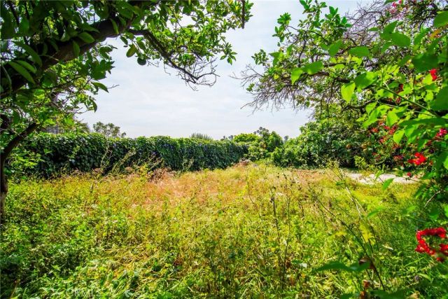 3036 Surry Street, Los Angeles, CA 90027