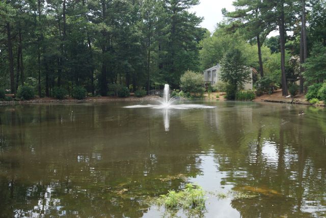 119 Taylors Pond Drive, Cary, NC 27513