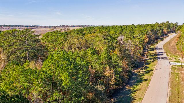 14-36-13 Sandpiper Drive, New Waverly, TX 77358
