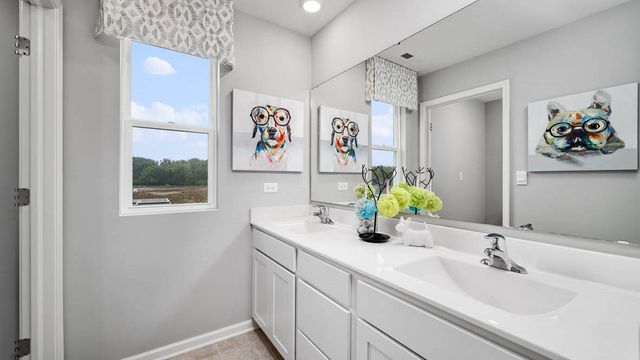 6253 Leinster Lane, Tinley Park, IL 60477