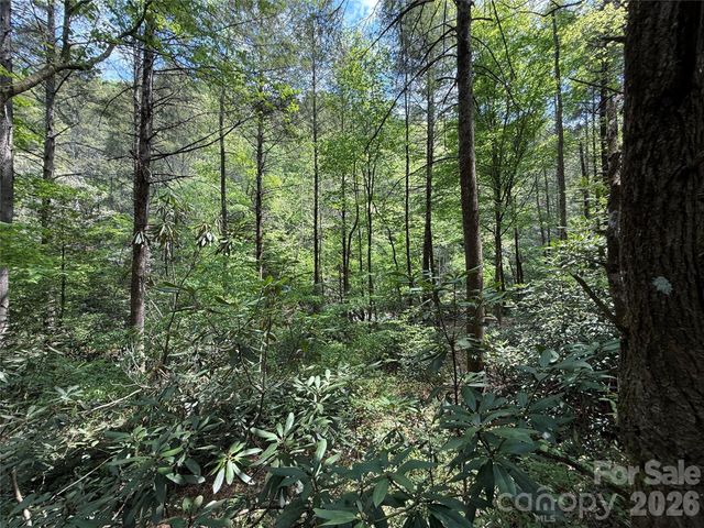 000 Kings Glen Road, Old Fort, NC 28762