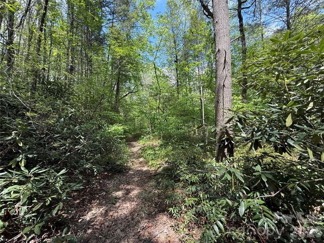 000 Kings Glen Road, Old Fort, NC 28762