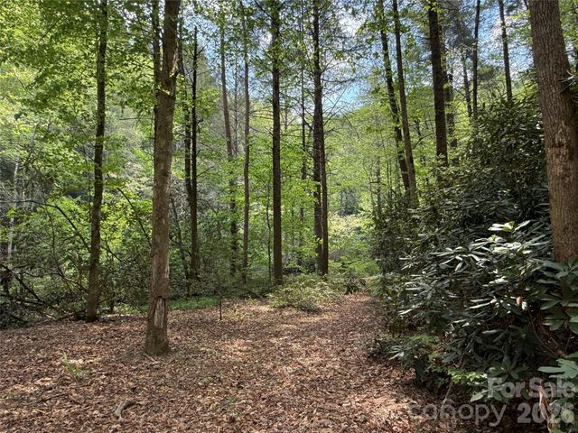 000 Kings Glen Road, Old Fort, NC 28762
