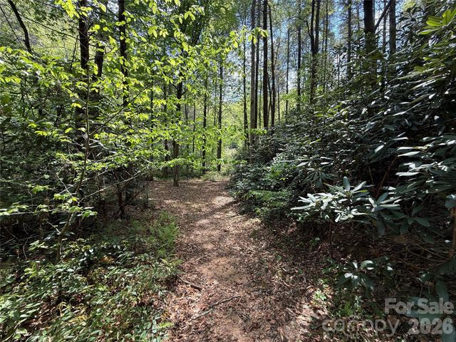 000 Kings Glen Road, Old Fort, NC 28762