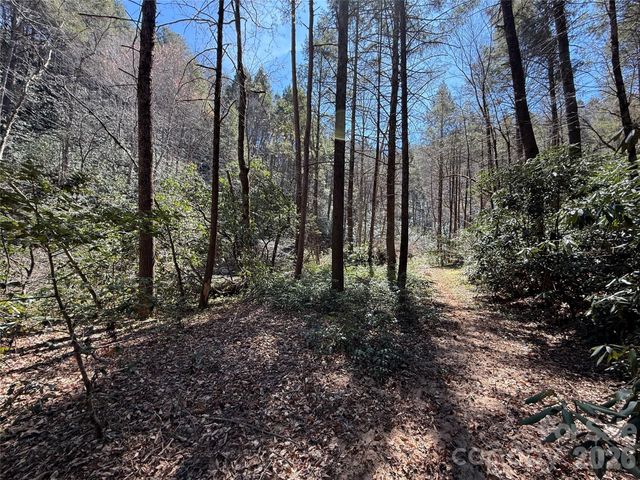 000 Kings Glen Road, Old Fort, NC 28762