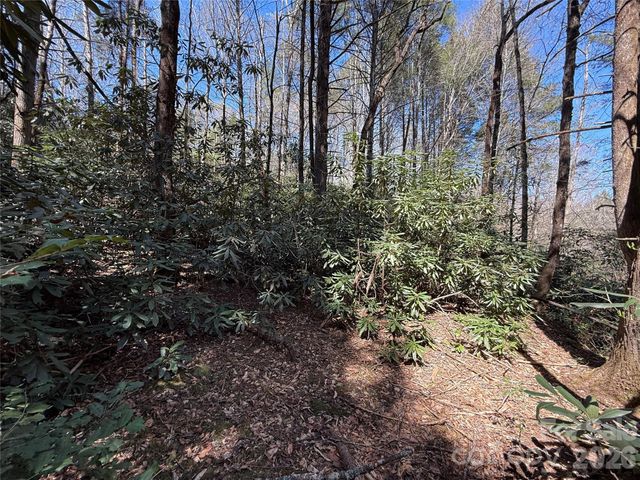 000 Kings Glen Road, Old Fort, NC 28762