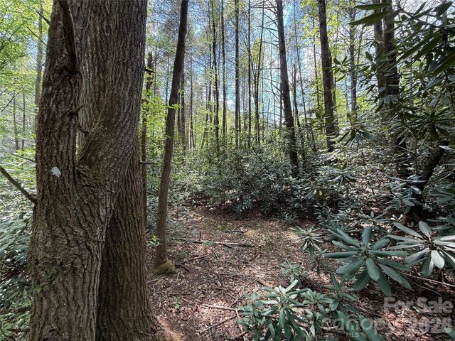 000 Kings Glen Road, Old Fort, NC 28762