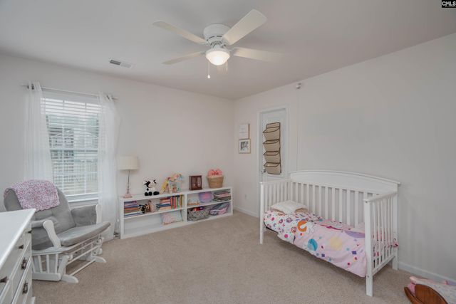 140 Rushton Drive, Chapin, SC 29036