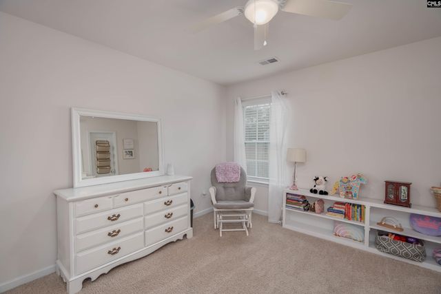 140 Rushton Drive, Chapin, SC 29036