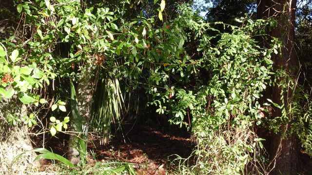 737 Benedictine Terrace, Sebastian, FL 32958