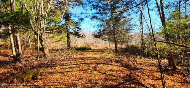 0 Bruce Cross Road, Prattsville, NY 12468